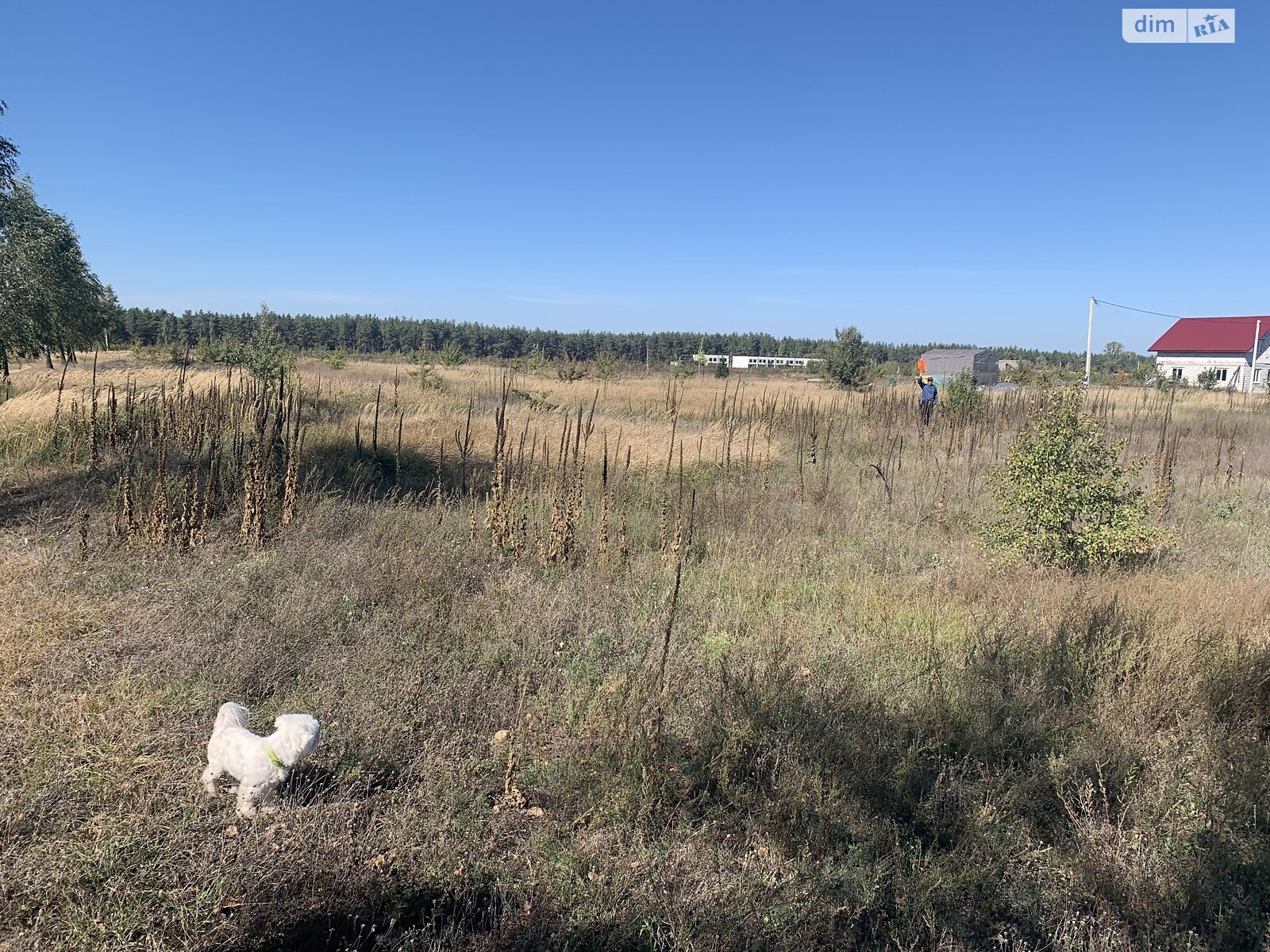 Земельный участок под жилую застройку в Лебедевке, площадь 22 сотки фото 1 Земельный участок под жилую застройку в Лебедевке, площадь 22 сотки фото 1