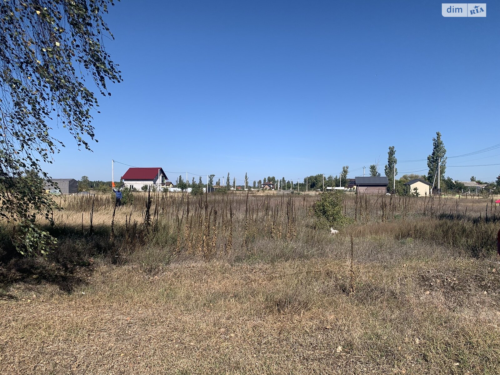 Земельный участок под жилую застройку в Лебедевке, площадь 22 сотки фото 1 Земельный участок под жилую застройку в Лебедевке, площадь 22 сотки фото 1