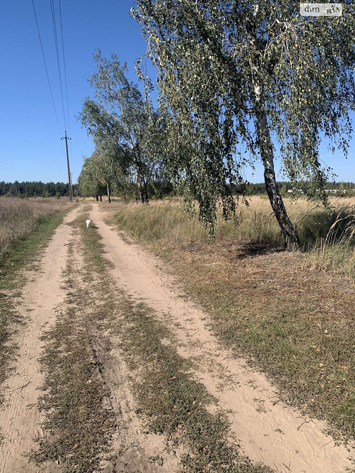 Земельный участок под жилую застройку в Лебедевке, площадь 22 сотки фото 1 Земельный участок под жилую застройку в Лебедевке, площадь 22 сотки фото 1