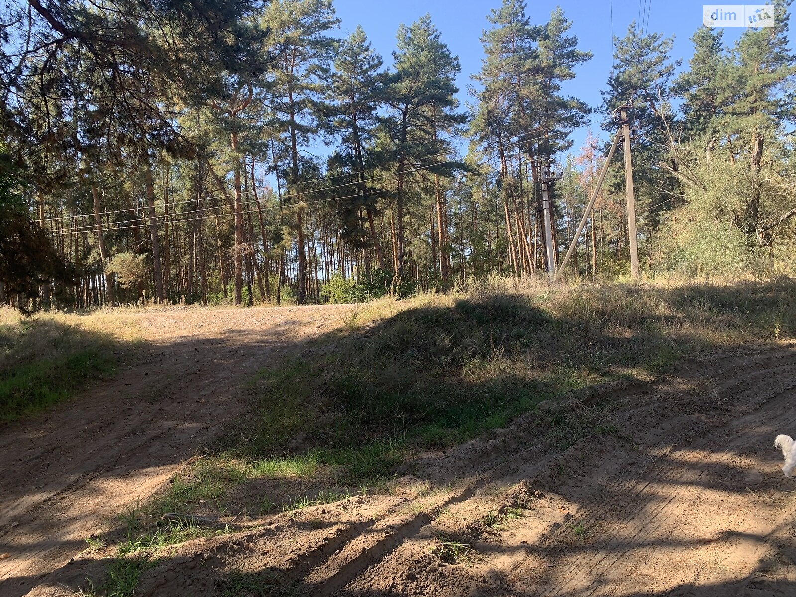 Земельный участок под жилую застройку в Лебедевке, площадь 22 сотки фото 1 Земельный участок под жилую застройку в Лебедевке, площадь 22 сотки фото 1