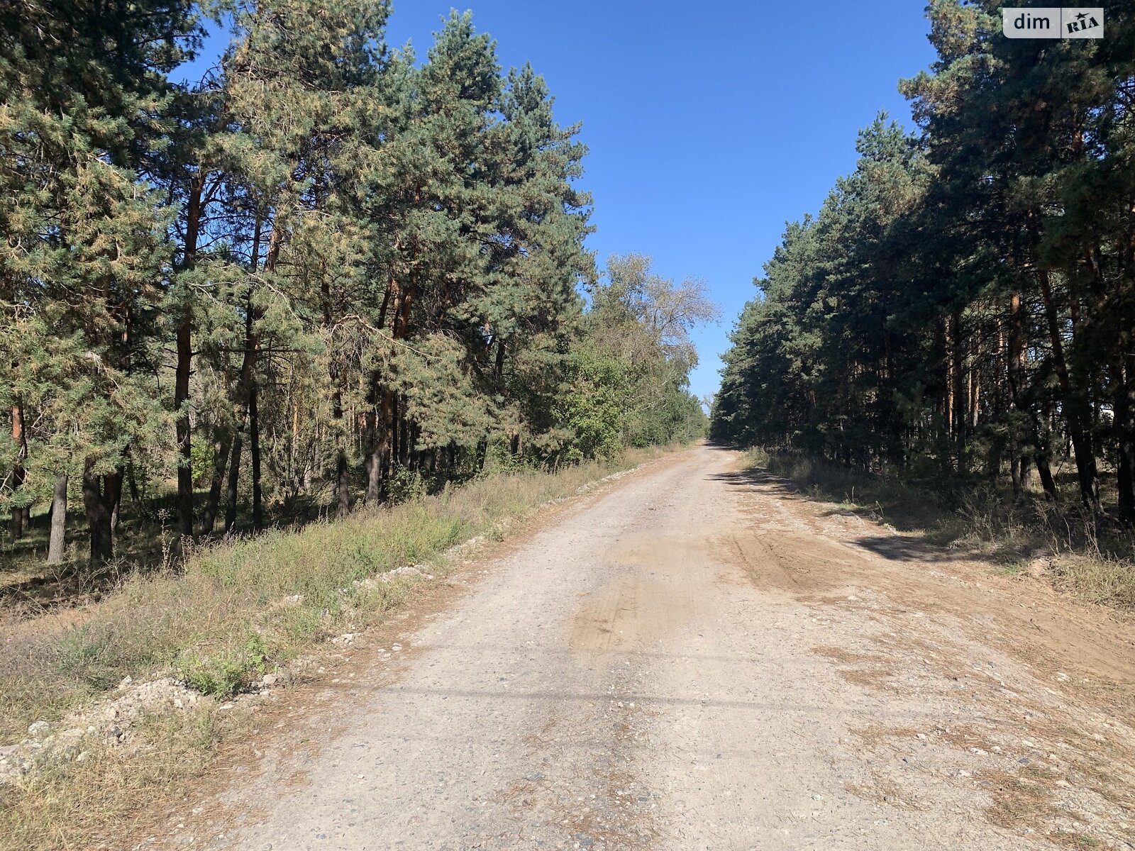 Земельный участок под жилую застройку в Лебедевке, площадь 22 сотки фото 1 Земельный участок под жилую застройку в Лебедевке, площадь 22 сотки фото 1