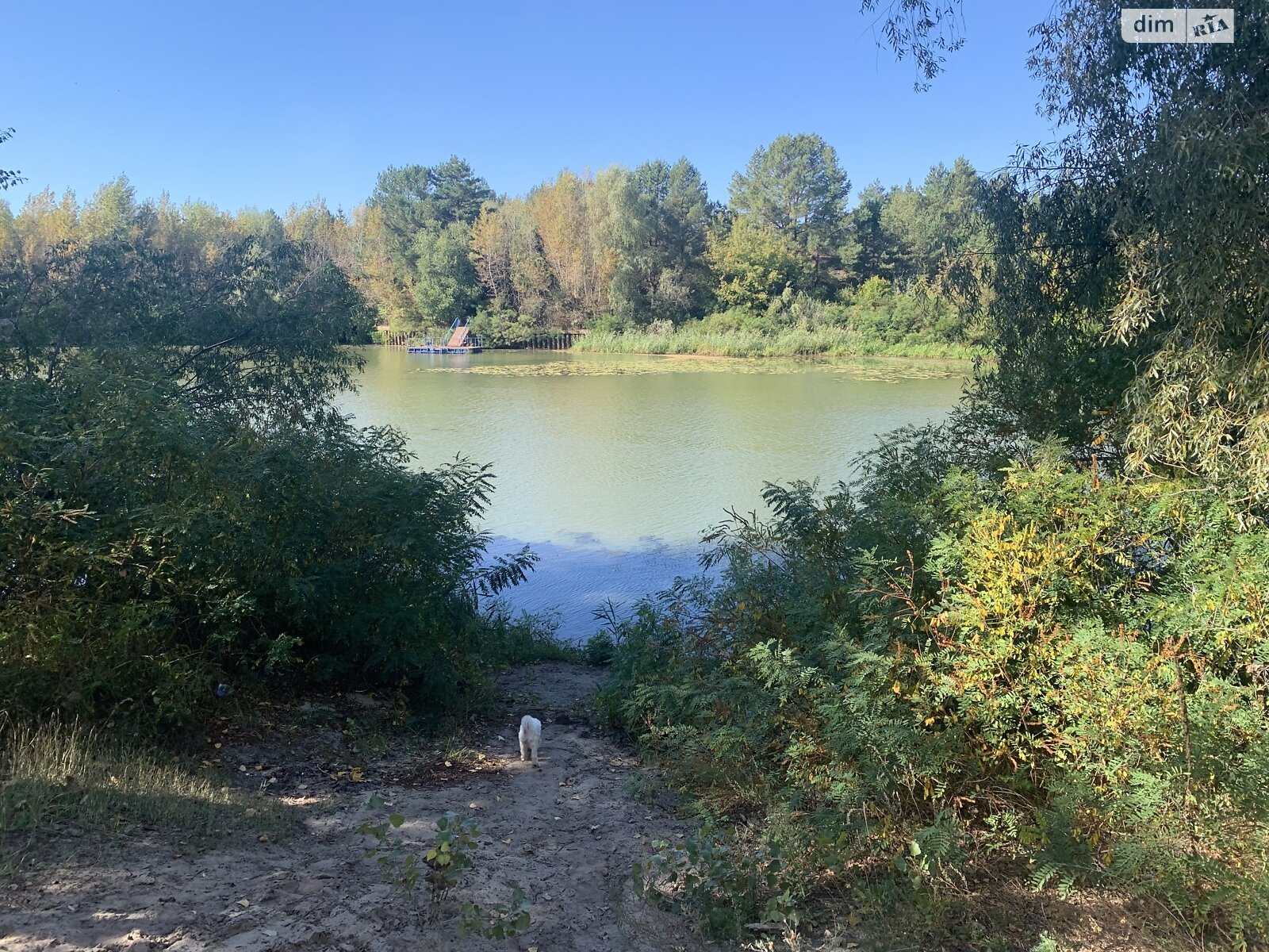 Земельный участок под жилую застройку в Лебедевке, площадь 22 сотки фото 1 Земельный участок под жилую застройку в Лебедевке, площадь 22 сотки фото 1