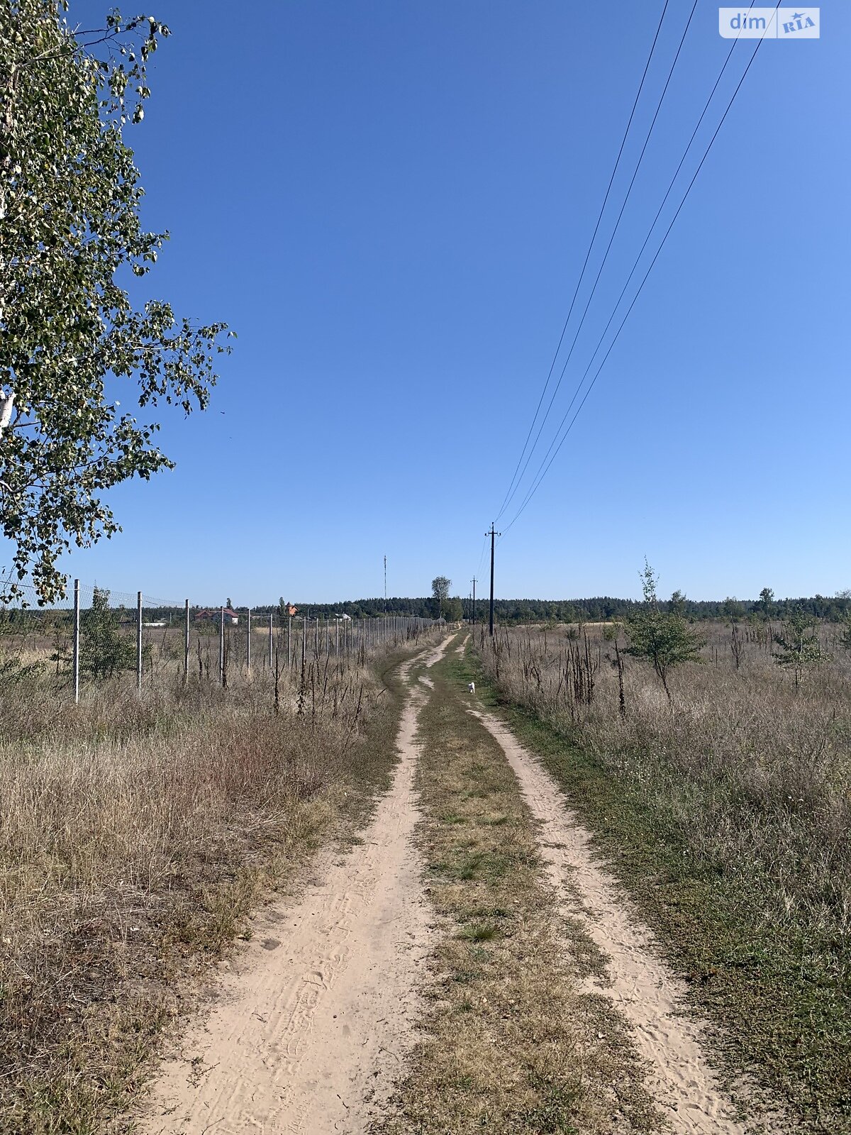 Земельный участок под жилую застройку в Лебедевке, площадь 22 сотки фото 1 Земельный участок под жилую застройку в Лебедевке, площадь 22 сотки фото 1