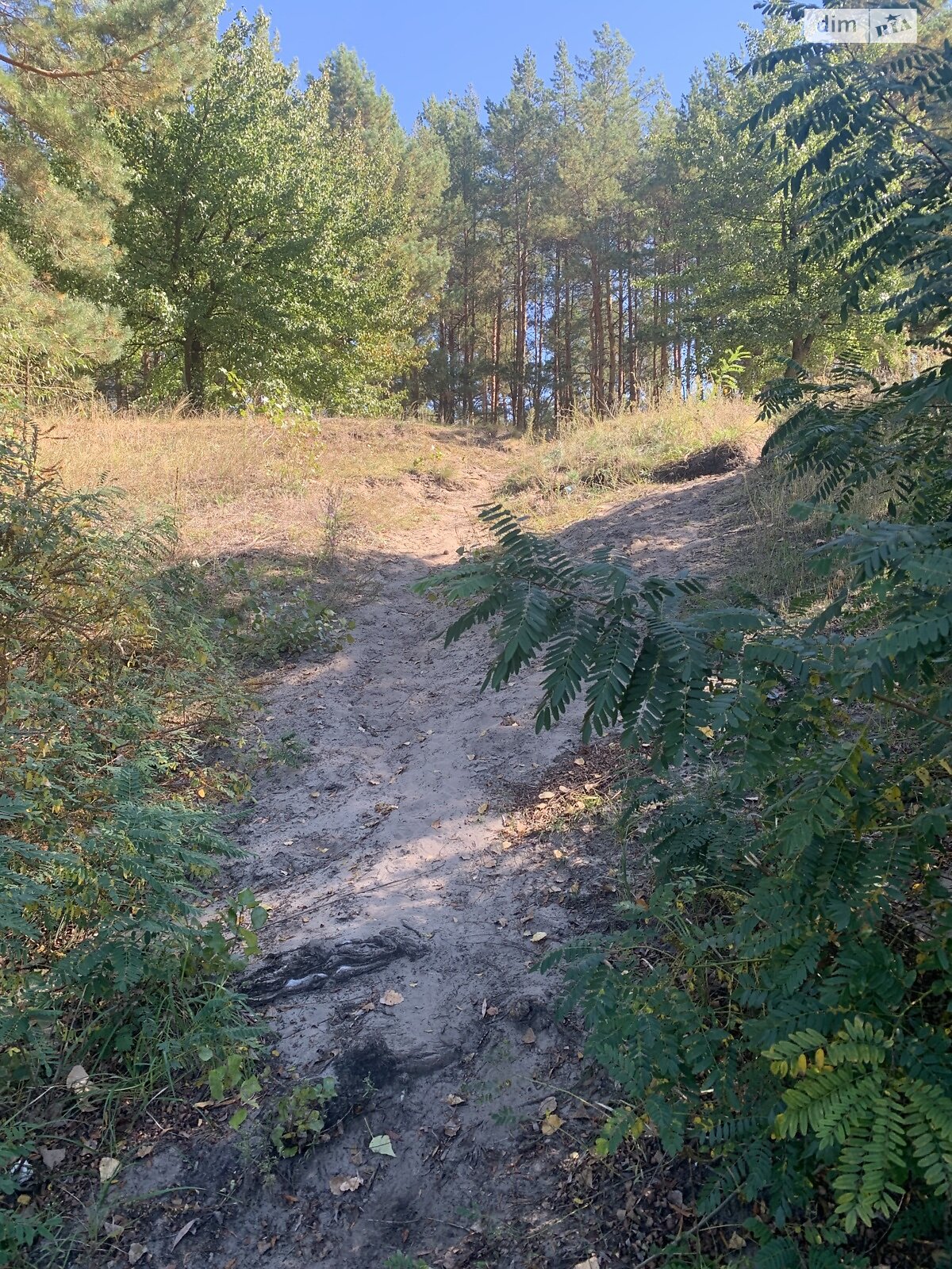 Земельный участок под жилую застройку в Лебедевке, площадь 22 сотки фото 1 Земельный участок под жилую застройку в Лебедевке, площадь 22 сотки фото 1