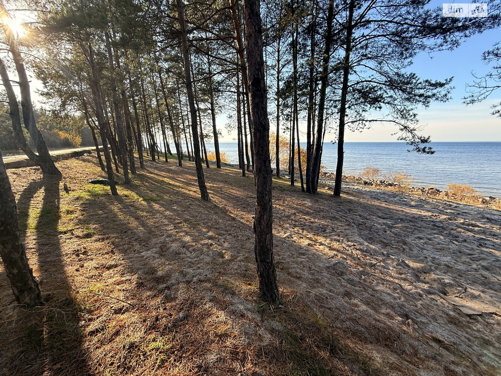 Земельный участок под жилую застройку в Лебедевке, площадь 22 сотки фото 1