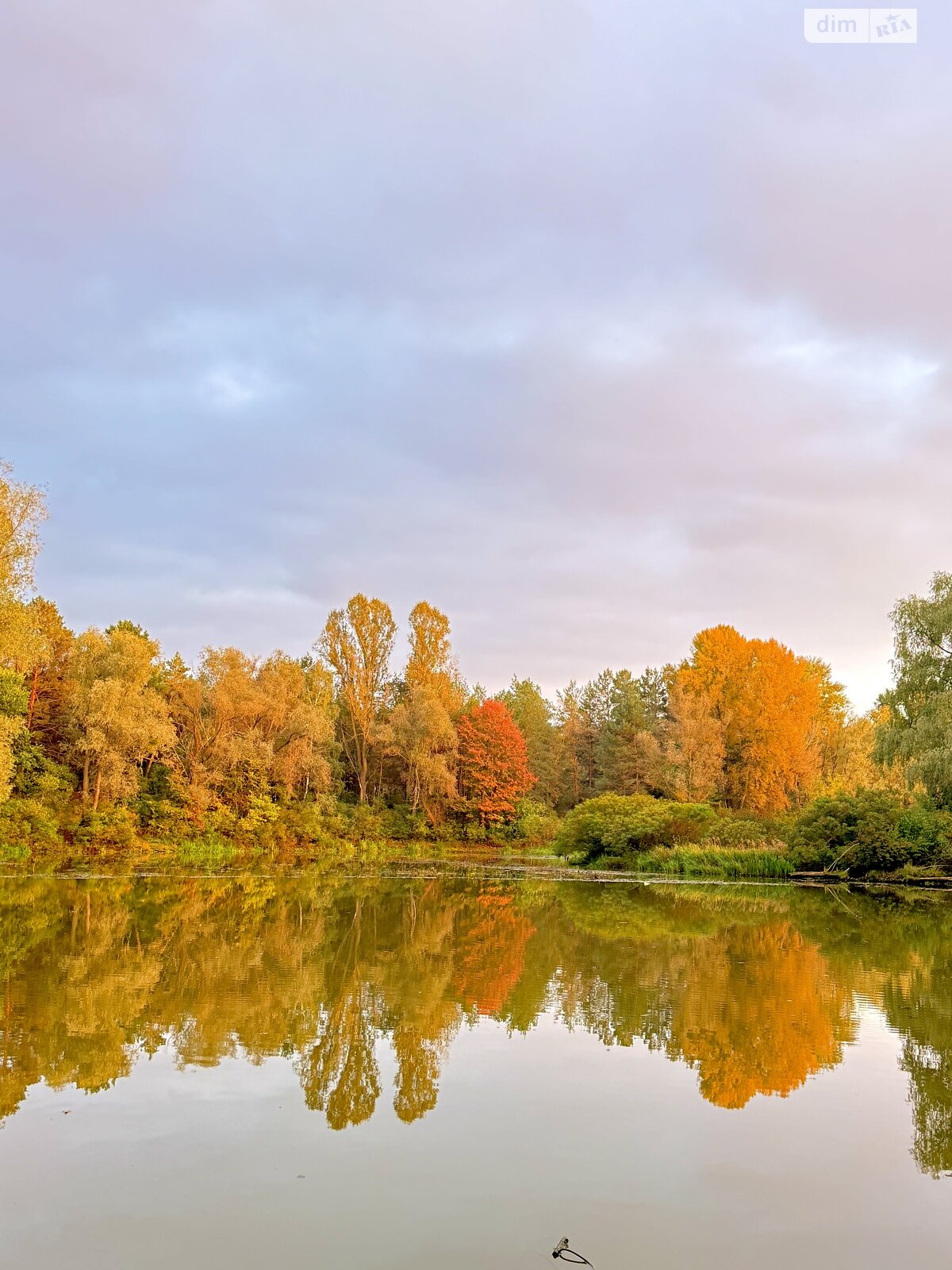 Земельный участок под жилую застройку в Лебедевке, площадь 22 сотки фото 1
