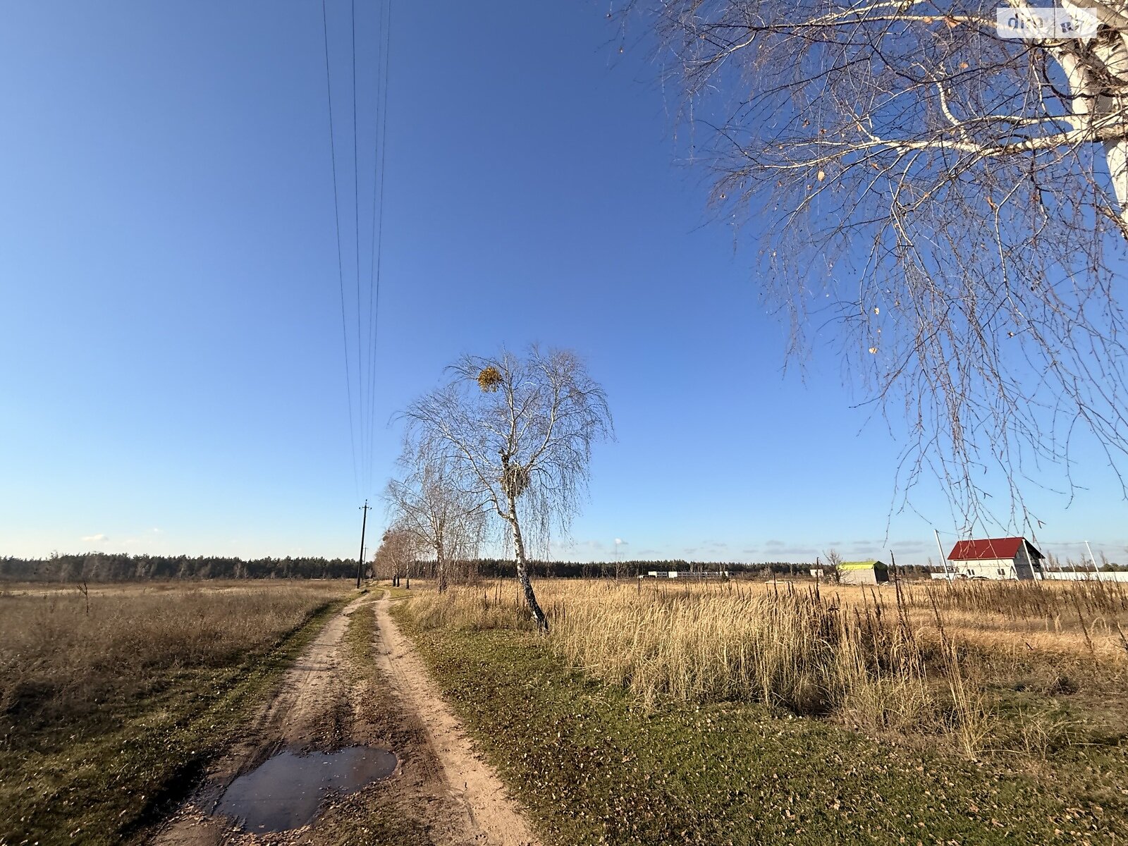 Земельный участок под жилую застройку в Лебедевке, площадь 22 сотки фото 1