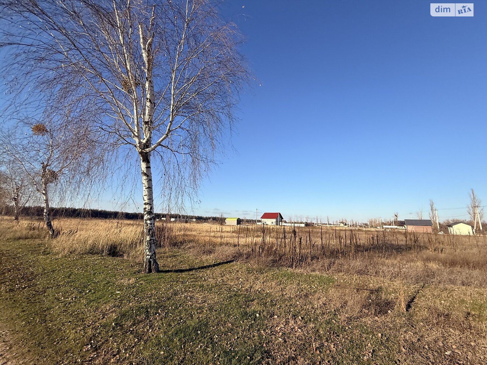 Земельный участок под жилую застройку в Лебедевке, площадь 22 сотки фото 1