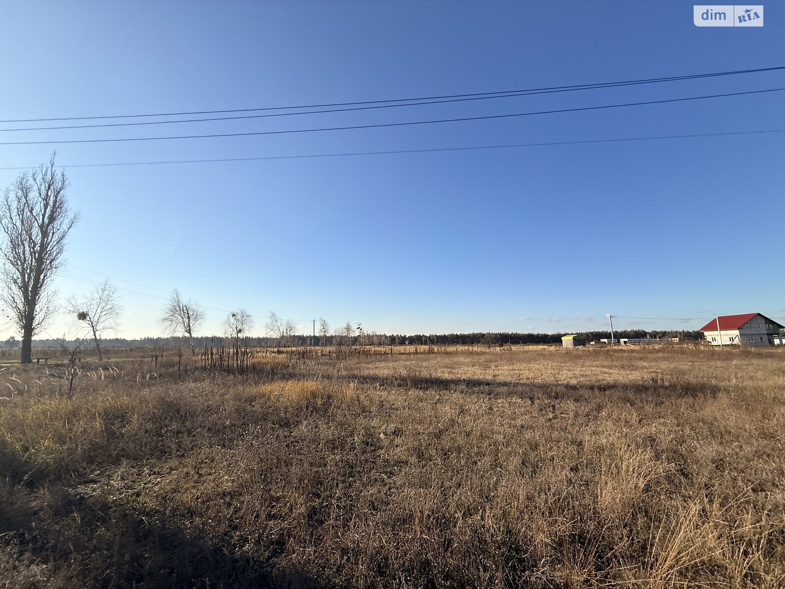 Земельный участок под жилую застройку в Лебедевке, площадь 22 сотки фото 1