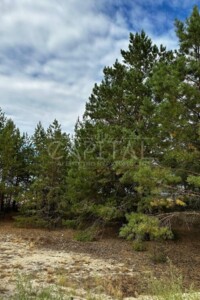 Земельна ділянка під житлову забудову в Лебедівці, площа 12 соток фото 2