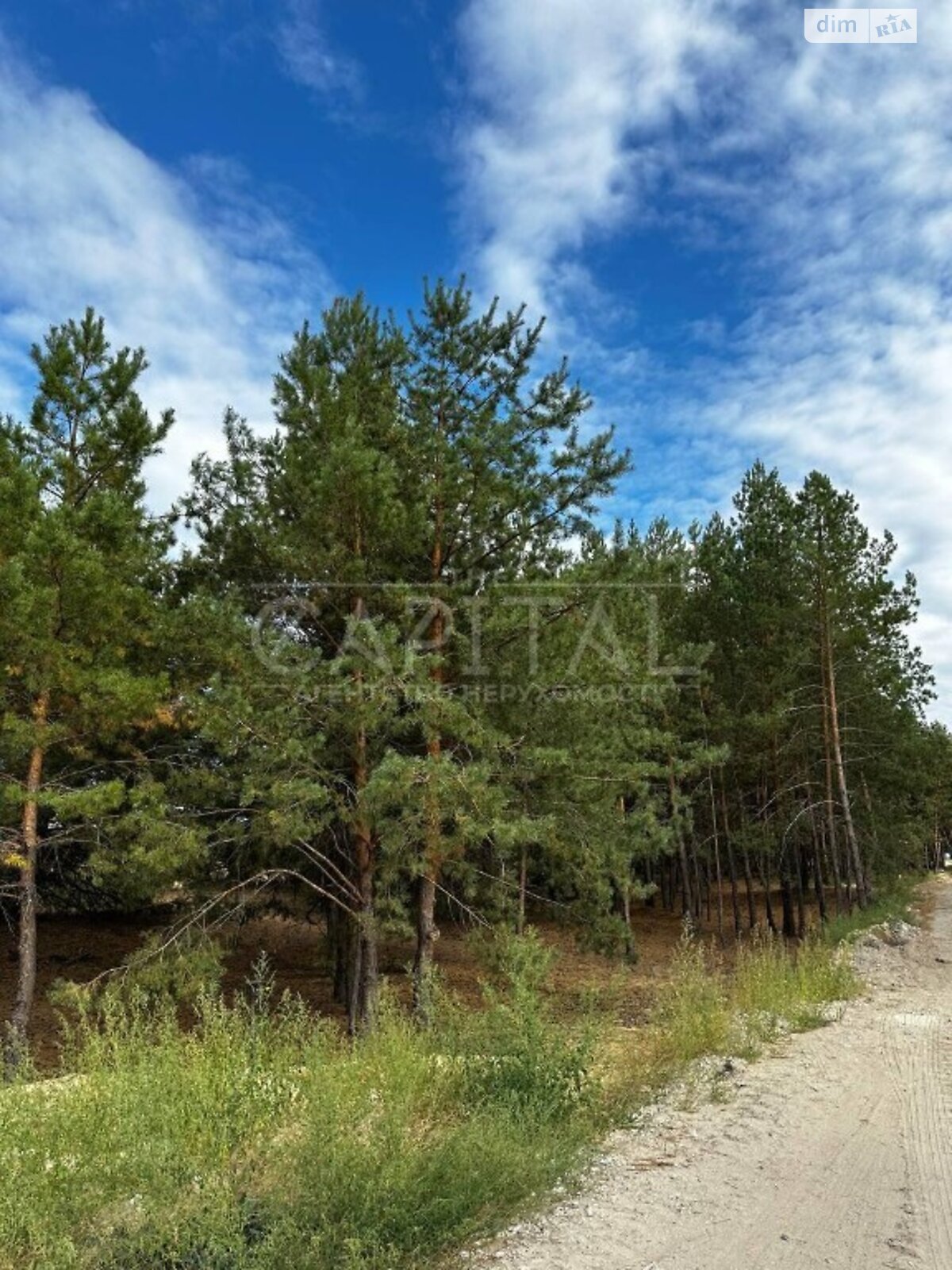 Земельна ділянка під житлову забудову в Лебедівці, площа 12 соток фото 1