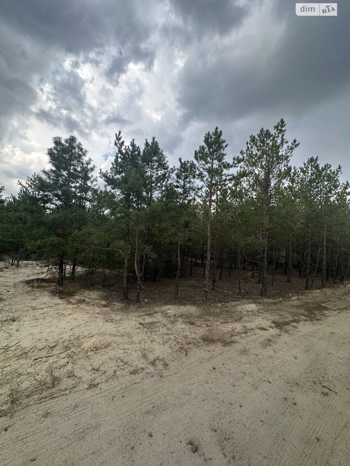 Земельный участок под жилую застройку в Лебедевке, площадь 12.39 сотки фото 1 Земельный участок под жилую застройку в Лебедевке, площадь 12.39 сотки фото 1