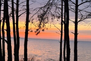 Земельный участок под жилую застройку в Лебедевке, площадь 10 соток фото 2