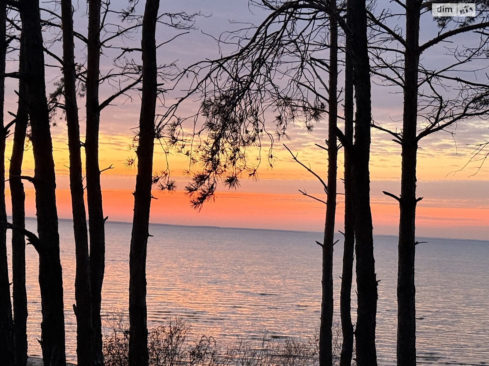 Земельный участок под жилую застройку в Лебедевке, площадь 10 соток фото 1