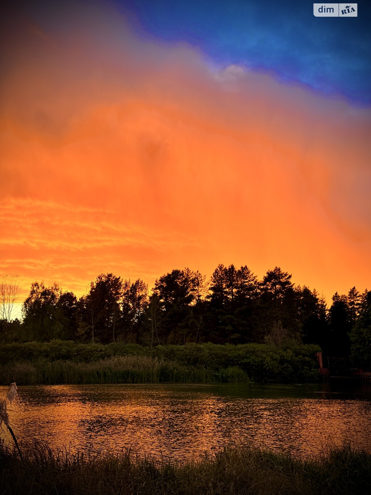 Земельный участок под жилую застройку в Лебедевке, площадь 10 соток фото 1