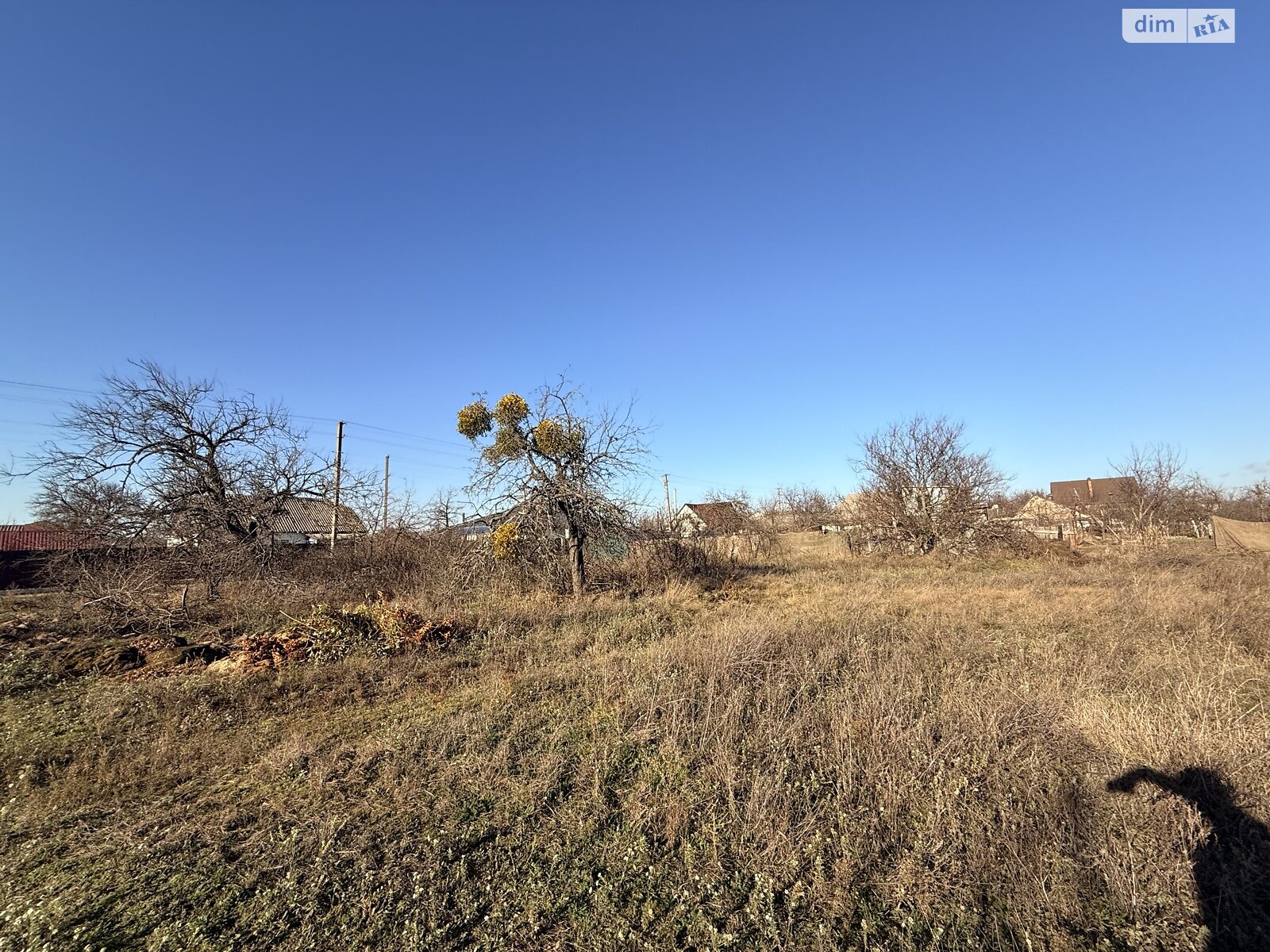 Земельный участок под жилую застройку в Лебедевке, площадь 25 соток фото 1