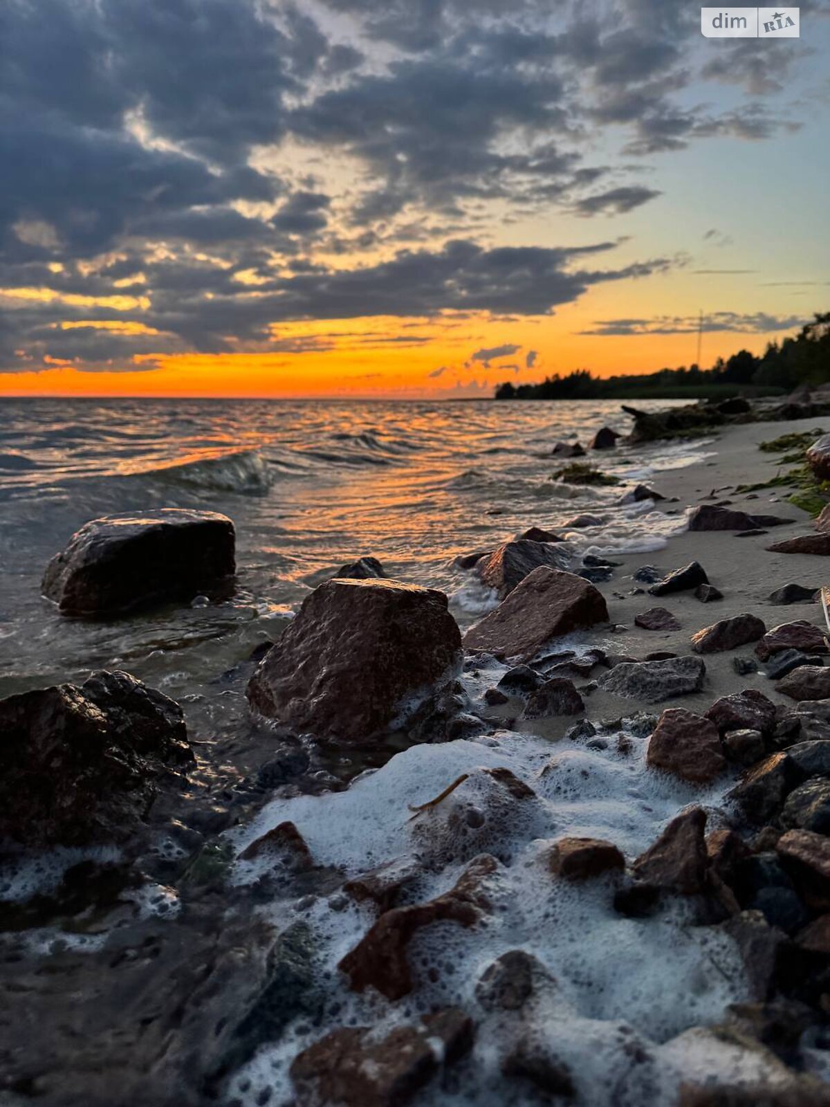 Земельный участок под жилую застройку в Лебедевке, площадь 25 соток фото 1
