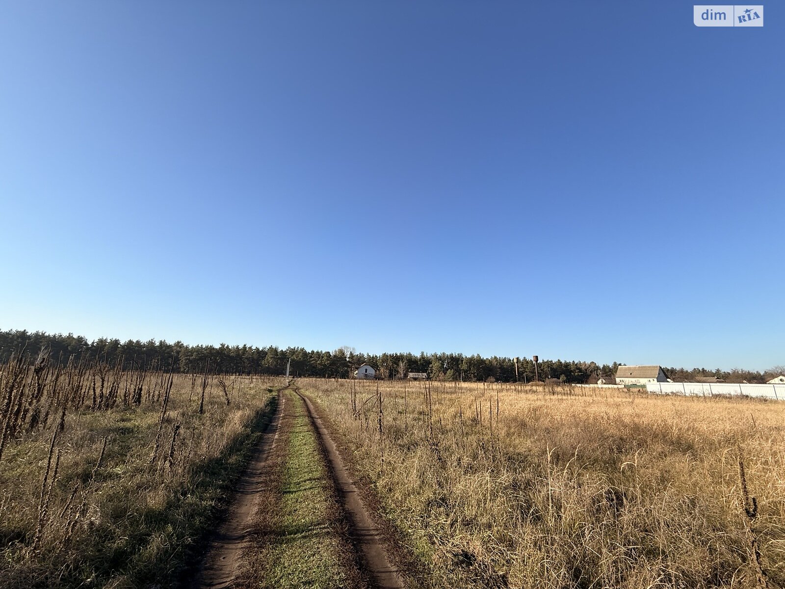 Земельный участок под жилую застройку в Лебедевке, площадь 10 соток фото 1