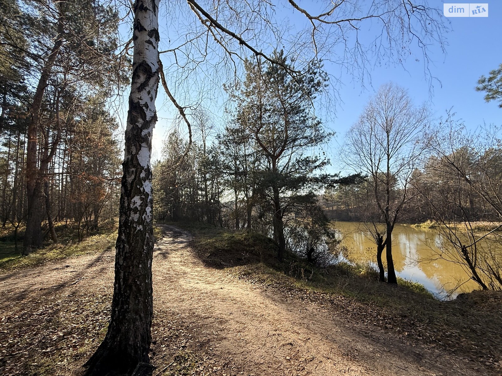 Земельный участок под жилую застройку в Лебедевке, площадь 10 соток фото 1