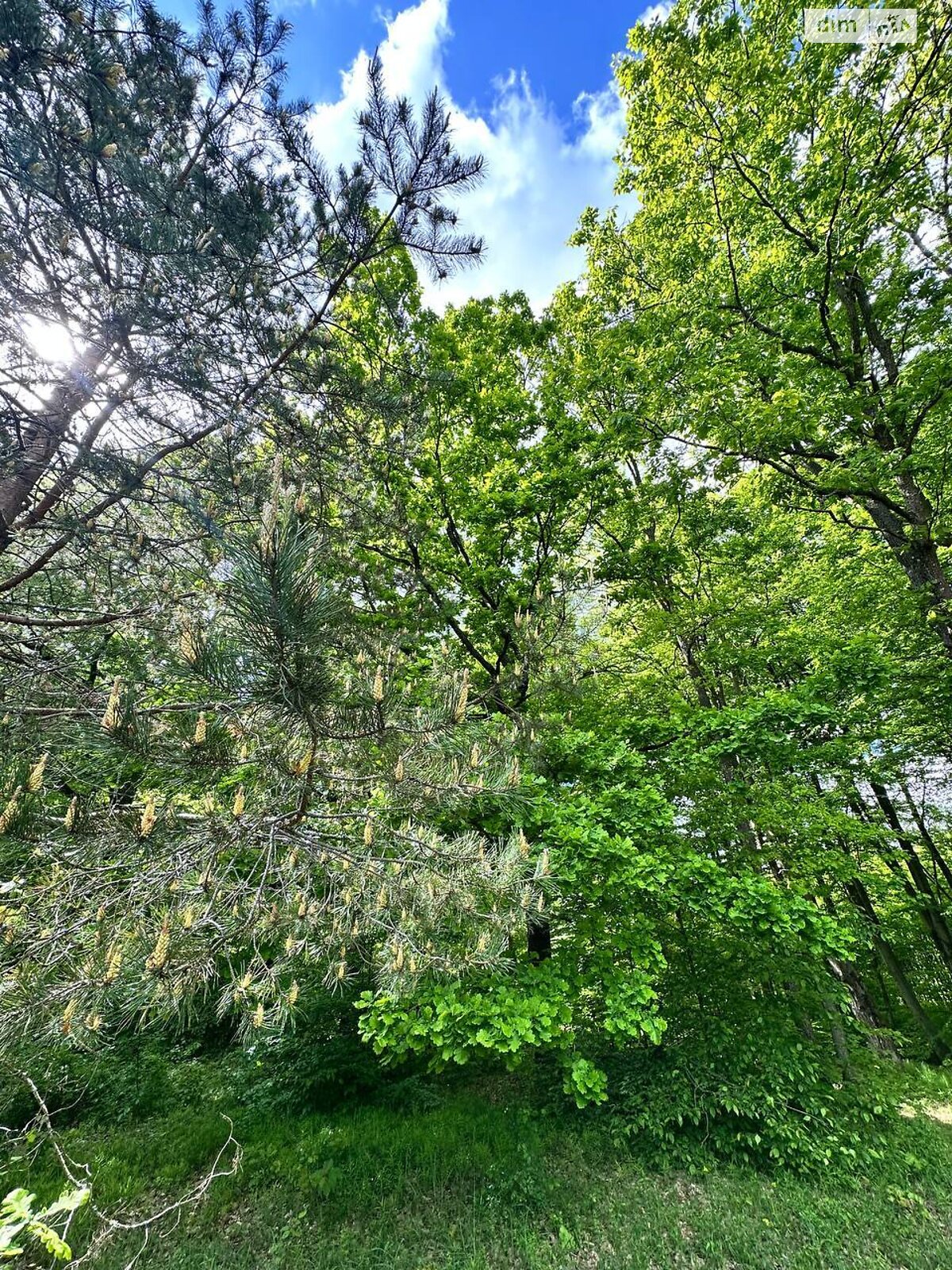 Земельна ділянка під житлову забудову в Лелехівці, площа 11.96 сотки фото 1 Земельна ділянка під житлову забудову в Лелехівці, площа 11.96 сотки фото 1