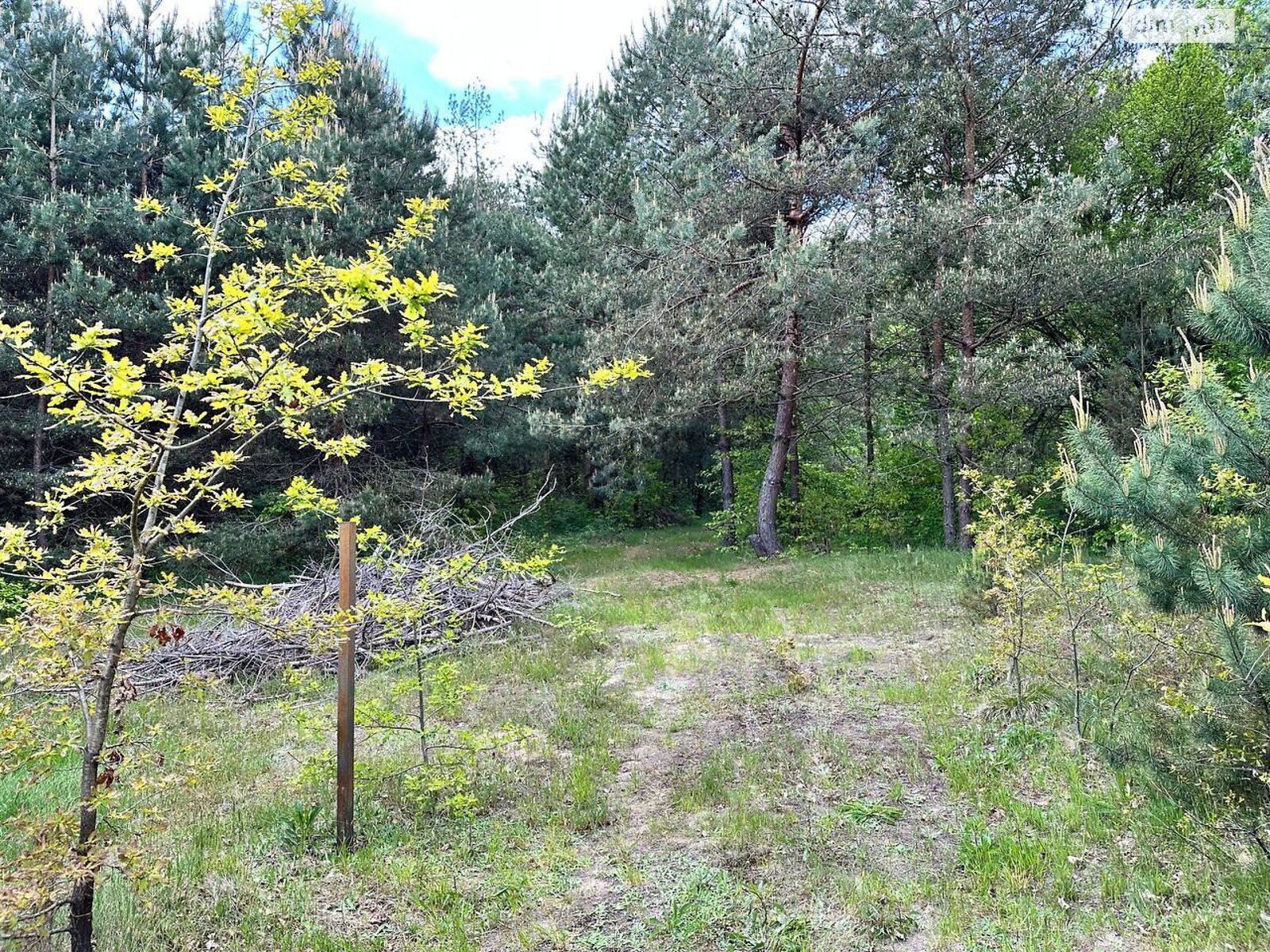 Земельна ділянка під житлову забудову в Лелехівці, площа 11.96 сотки фото 1 Земельна ділянка під житлову забудову в Лелехівці, площа 11.96 сотки фото 1
