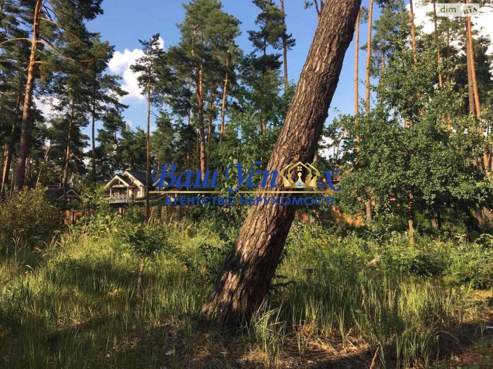 Земельный участок под жилую застройку в Лесниках, площадь 160 соток фото 1 Земельный участок под жилую застройку в Лесниках, площадь 160 соток фото 1