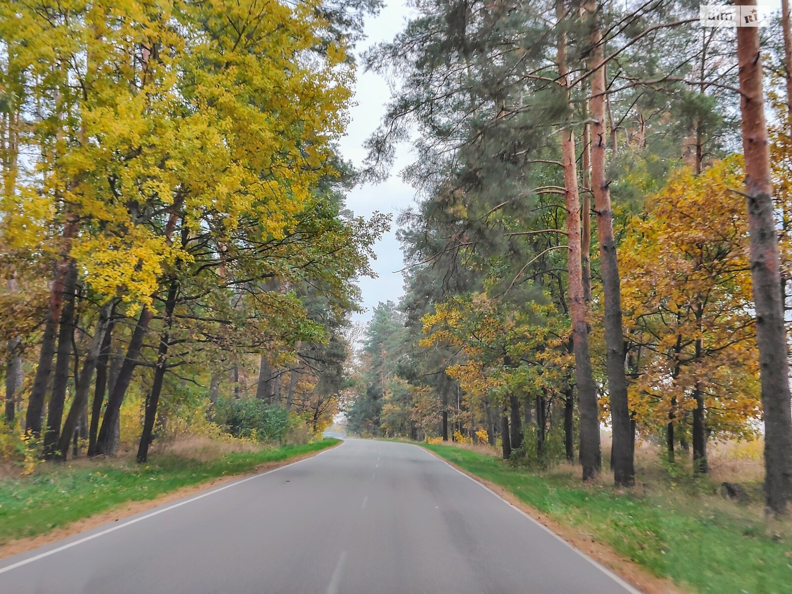 Земельна ділянка під житлову забудову в Лісне, площа 12 соток фото 1