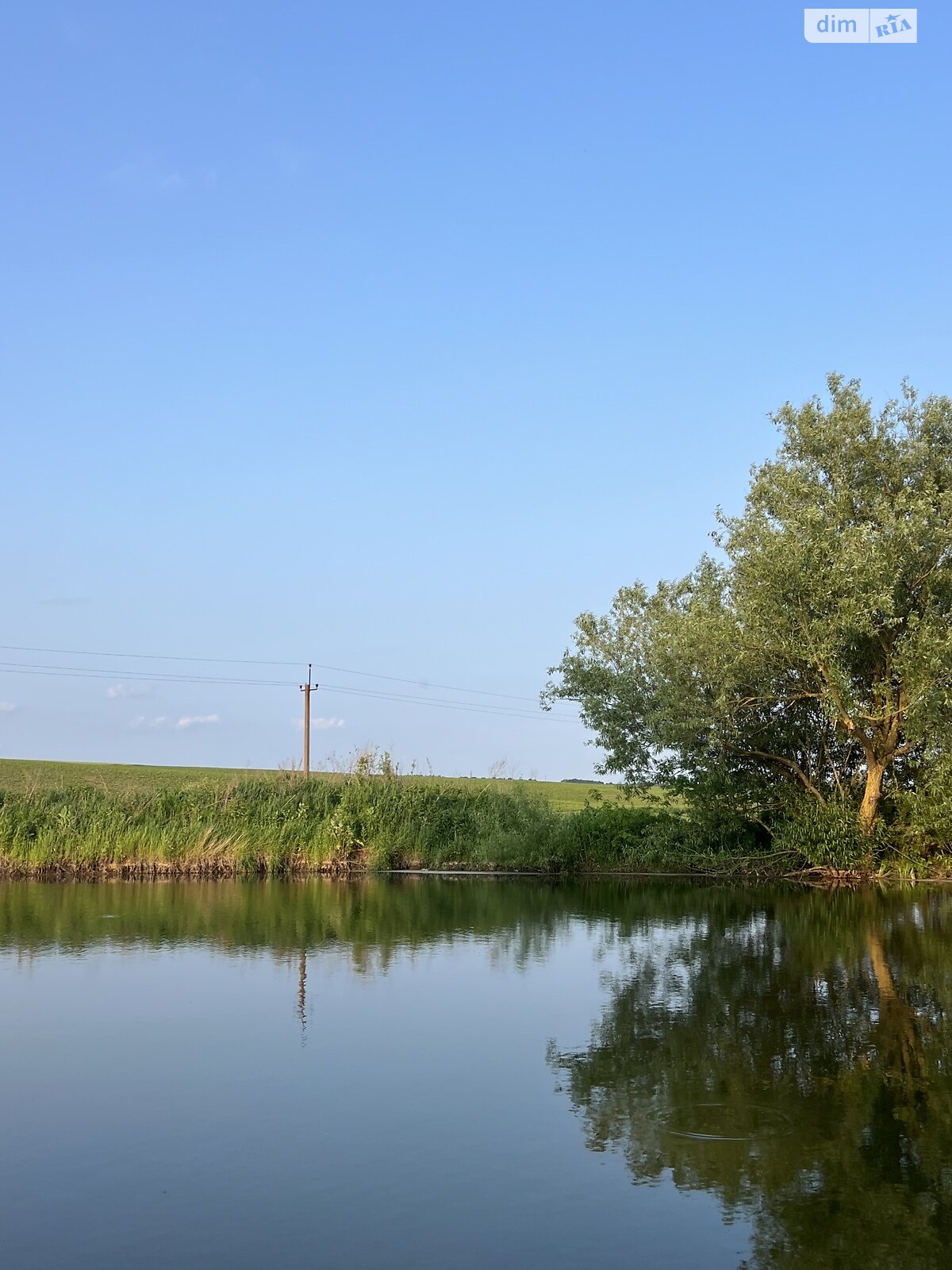 Земля під житлову забудову в Лісових Гринівцях, район Молодіжний, площа 100 соток фото 1 Земля під житлову забудову в Лісових Гринівцях, район Молодіжний, площа 100 соток фото 1