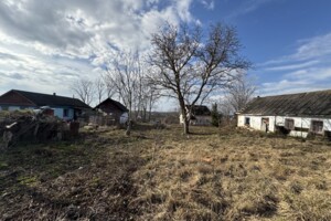 Земельный участок под жилую застройку в Лесовых Гриновцах, площадь 25 соток фото 2