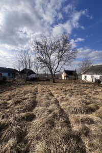 Земельна ділянка під житлову забудову в Лісових Гринівцях, площа 25 соток фото 2