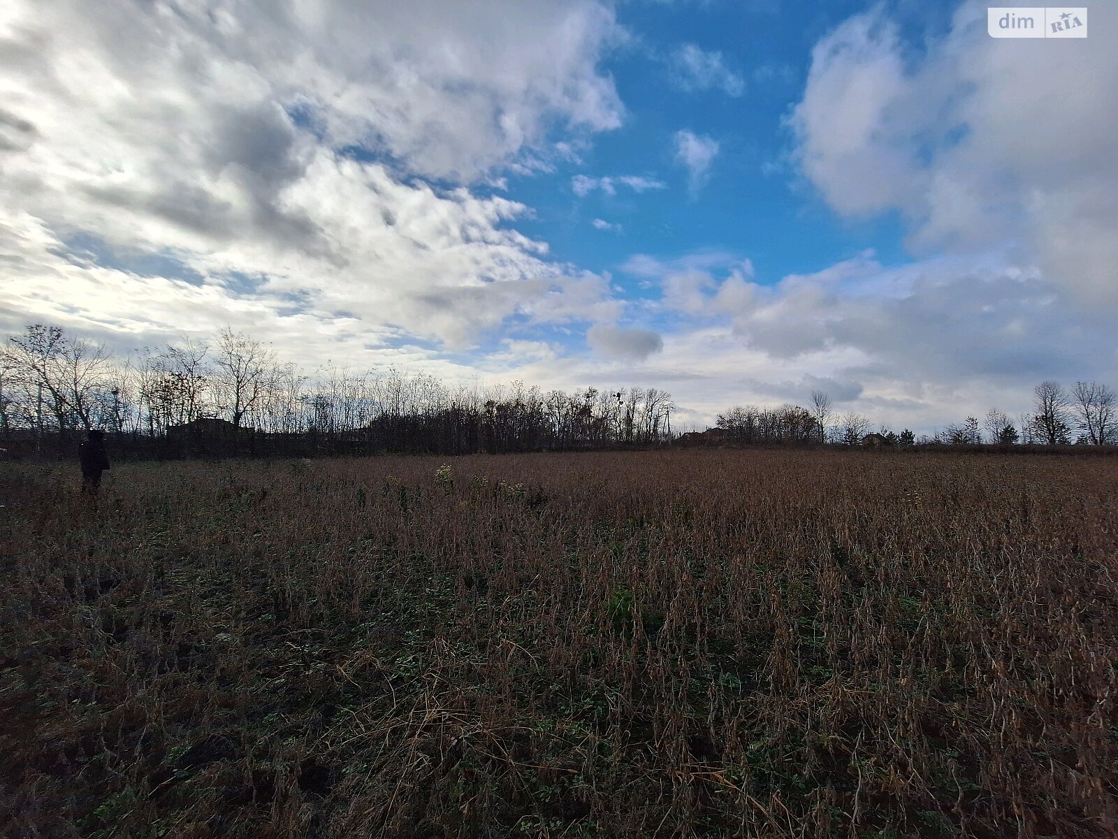 Земельный участок под жилую застройку в Лесовых Гриновцах, площадь 15 соток фото 1