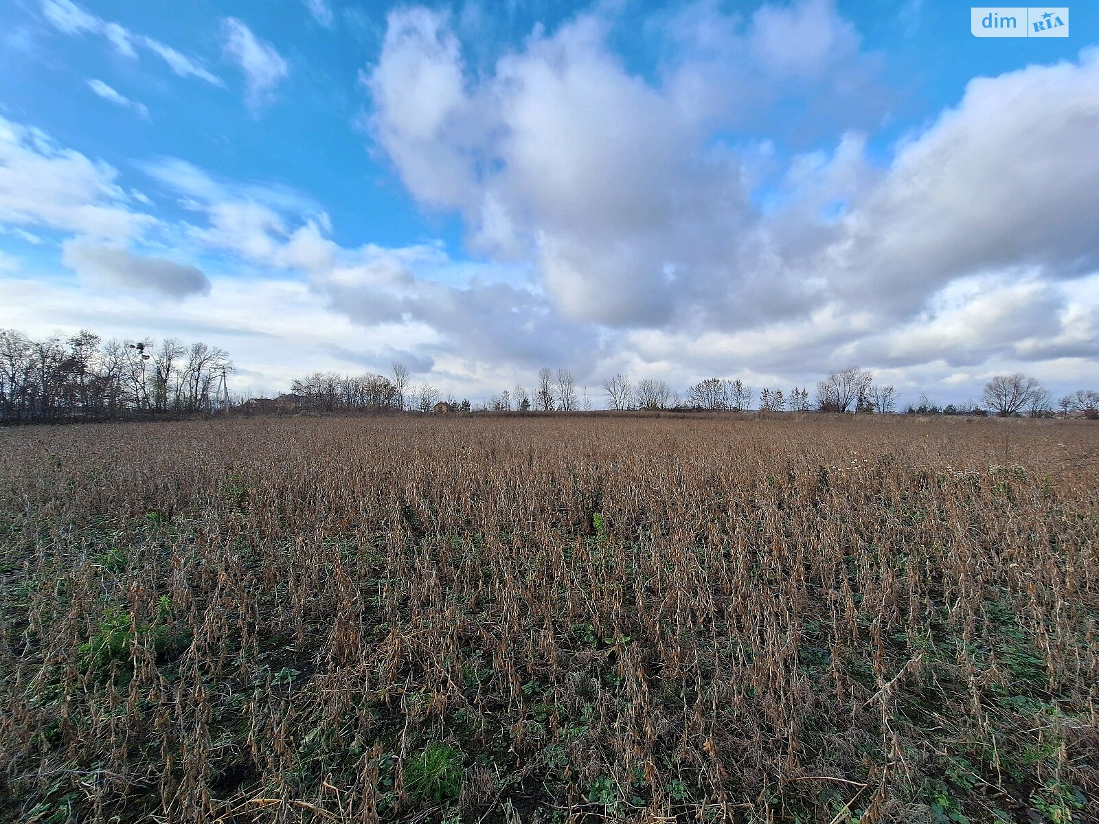 Земельный участок под жилую застройку в Лесовых Гриновцах, площадь 15 соток фото 1