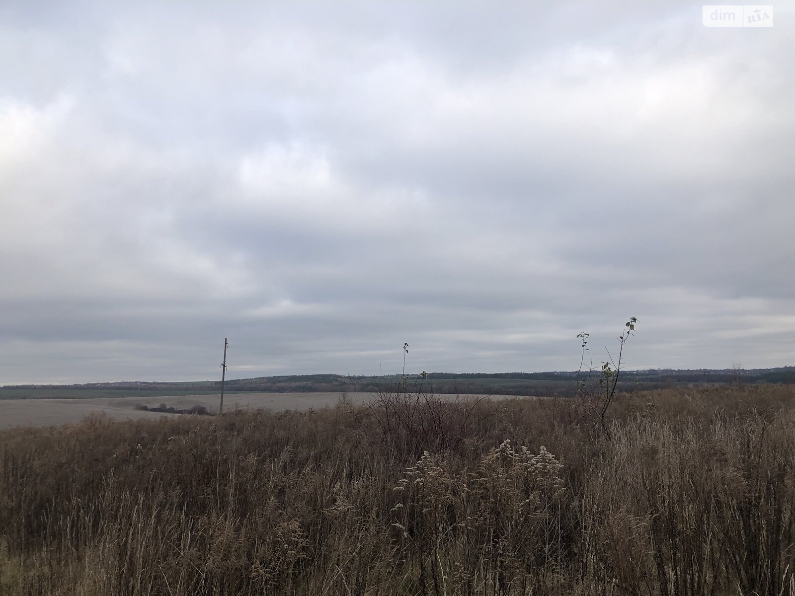 Земельный участок под жилую застройку в Лесовых Гриновцах, площадь 10 соток фото 1