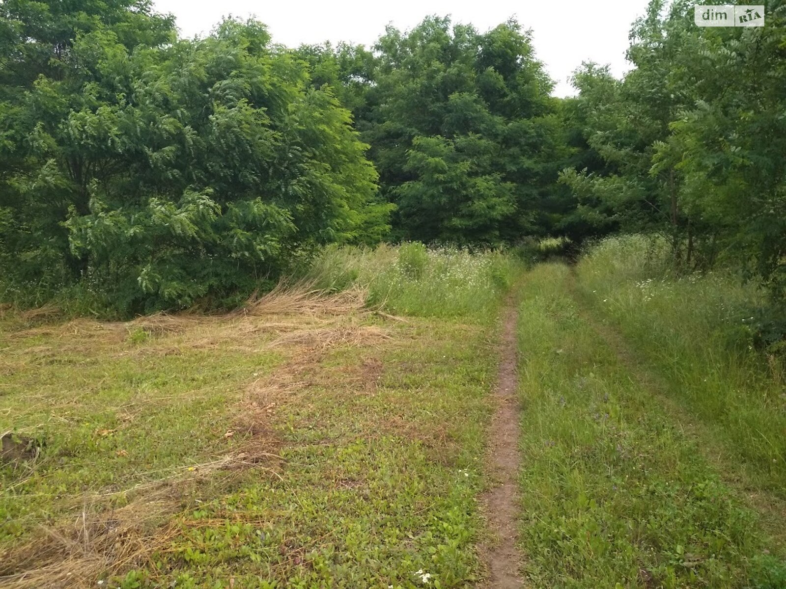 Земельна ділянка під житлову забудову в Лісових Гринівцях, площа 10 соток фото 1