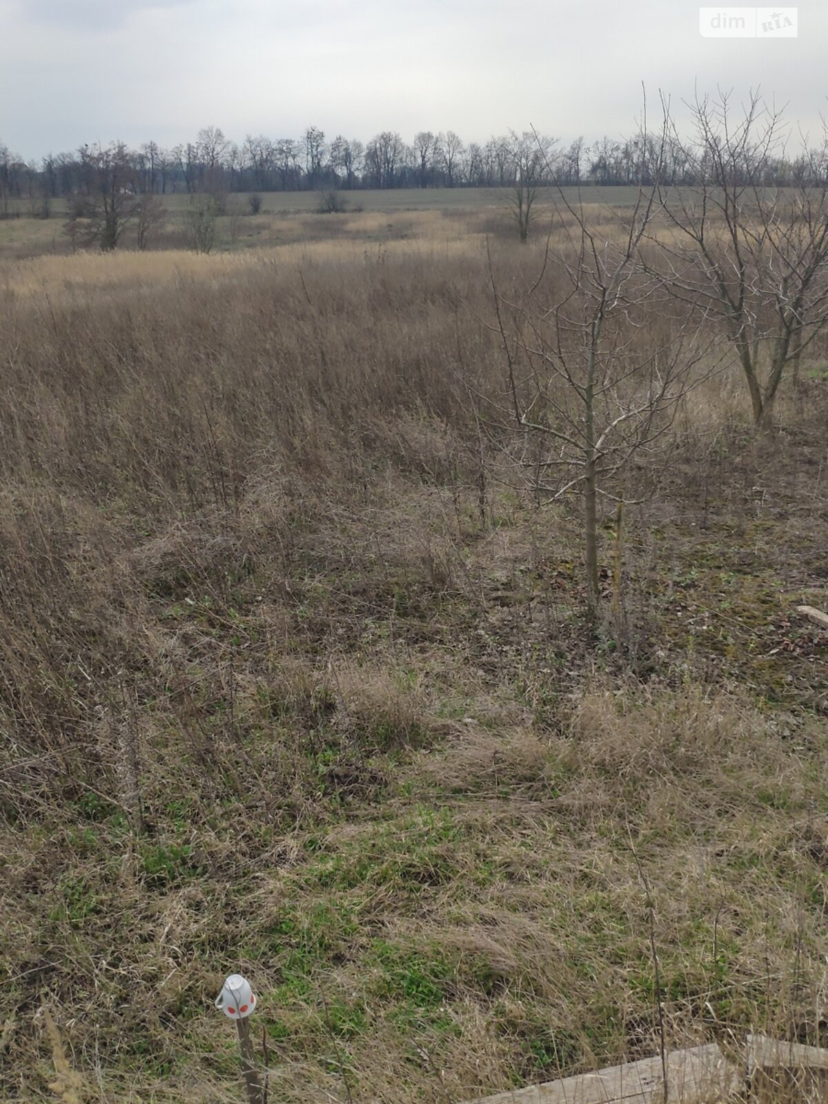 Земельна ділянка під житлову забудову в Лісових Гринівцях, площа 10 соток фото 1