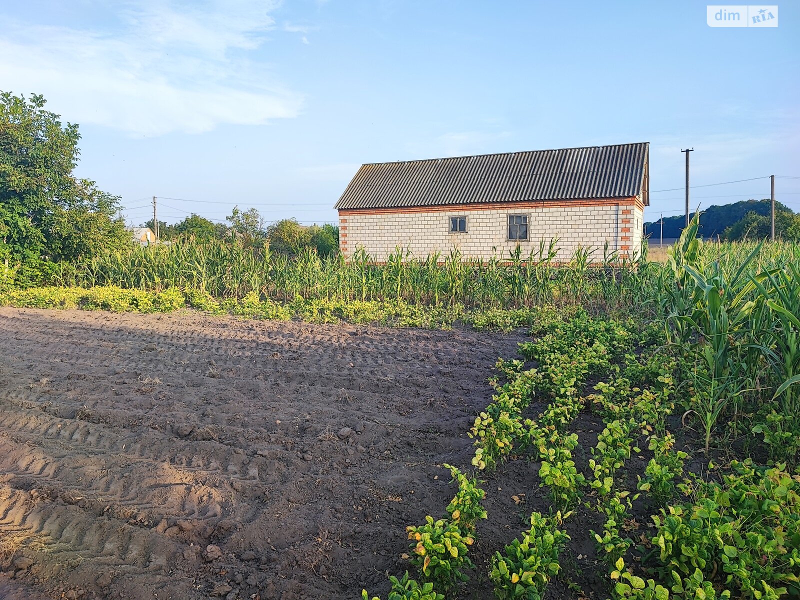 Земля під житлову забудову в Літині, район Літин, площа 0.1408 Га фото 1