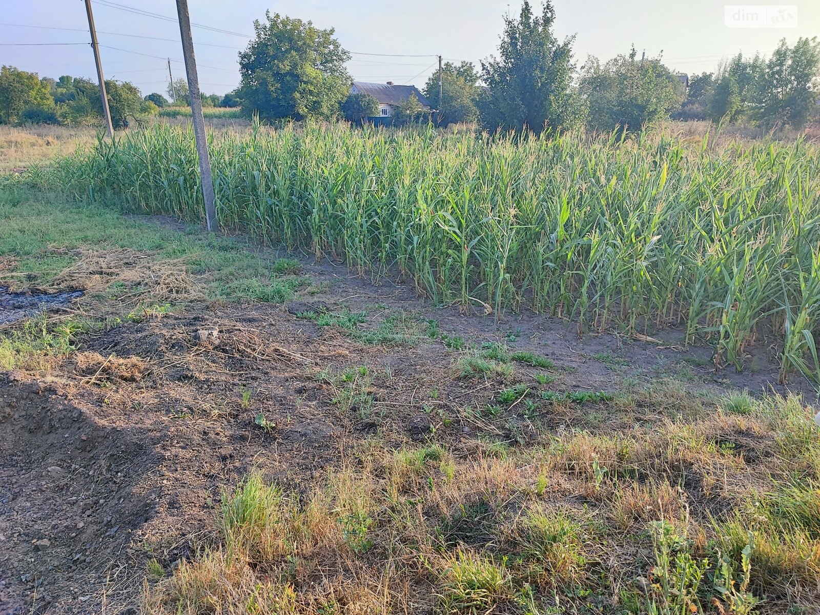 Земля під житлову забудову в Літині, район Літин, площа 0.1408 Га фото 1