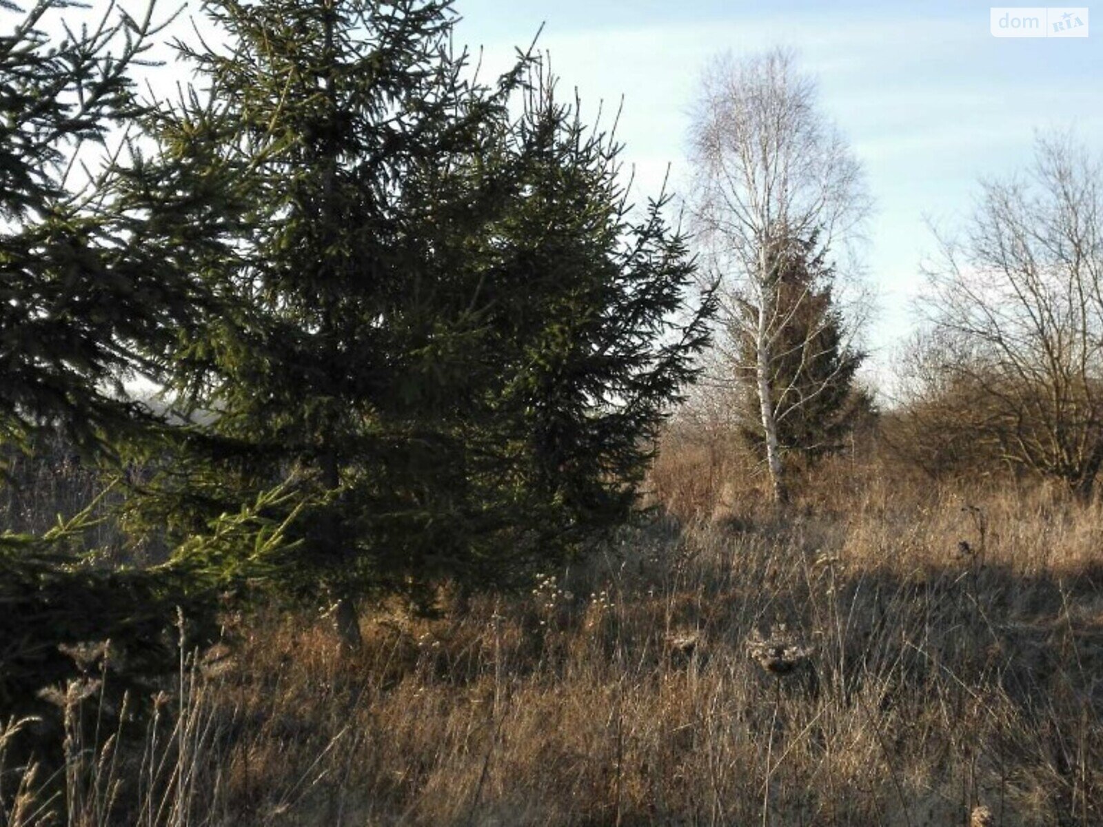 Земельна ділянка під житлову забудову в Лукашівці, площа 25 соток фото 1 Земельна ділянка під житлову забудову в Лукашівці, площа 25 соток фото 1