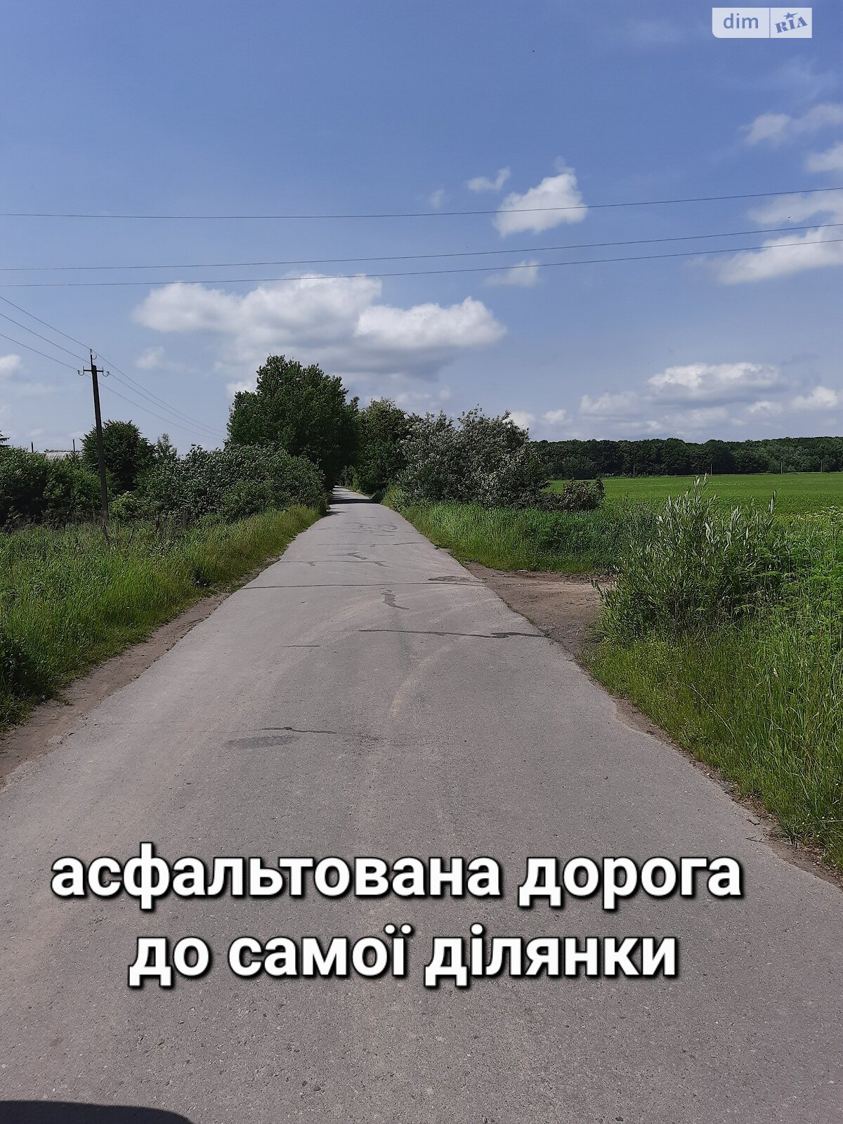 Земля під житлову забудову в Літині, район Рибаче, площа 130 соток фото 1