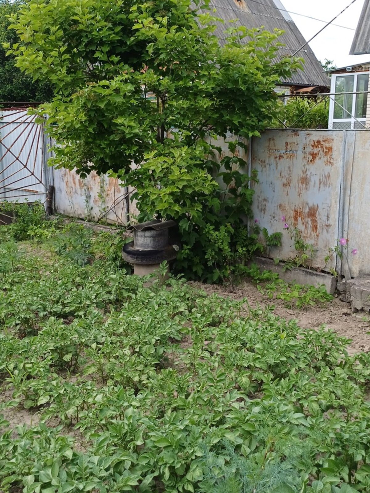 Земельный участок под жилую застройку в Литине, площадь 4 сотки фото 1 Земельный участок под жилую застройку в Литине, площадь 4 сотки фото 1