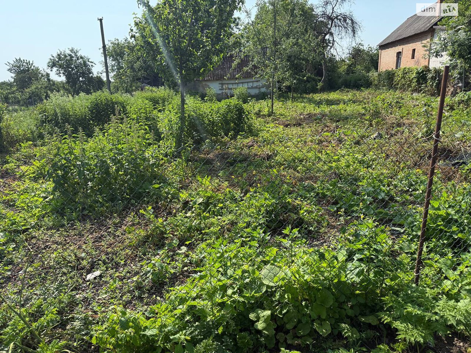 Земельный участок под жилую застройку в Луке-Мелешковской, площадь 23 сотки фото 1 Земельный участок под жилую застройку в Луке-Мелешковской, площадь 23 сотки фото 1