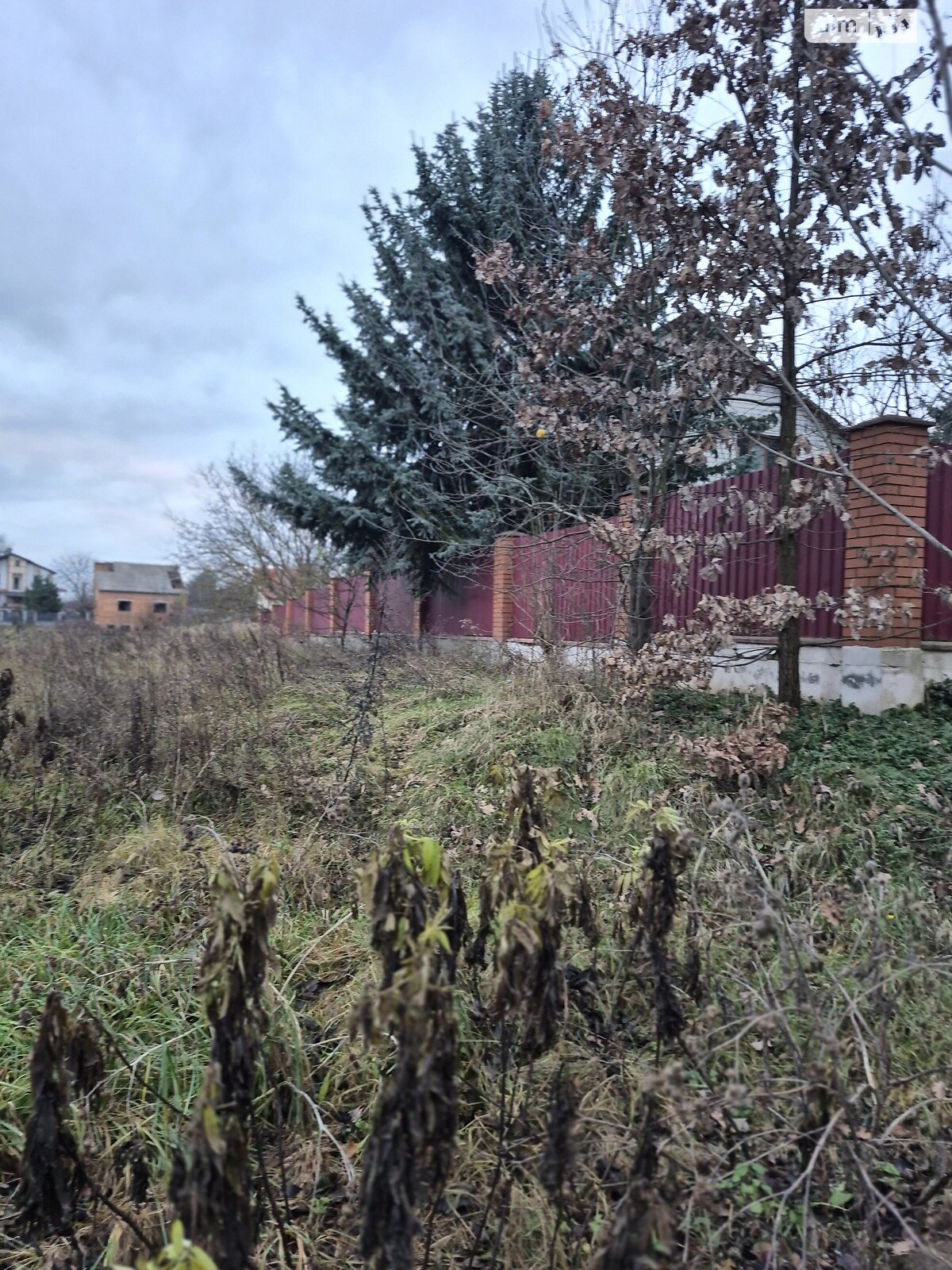 Земельный участок под жилую застройку в Луке-Мелешковской, площадь 20 соток фото 1