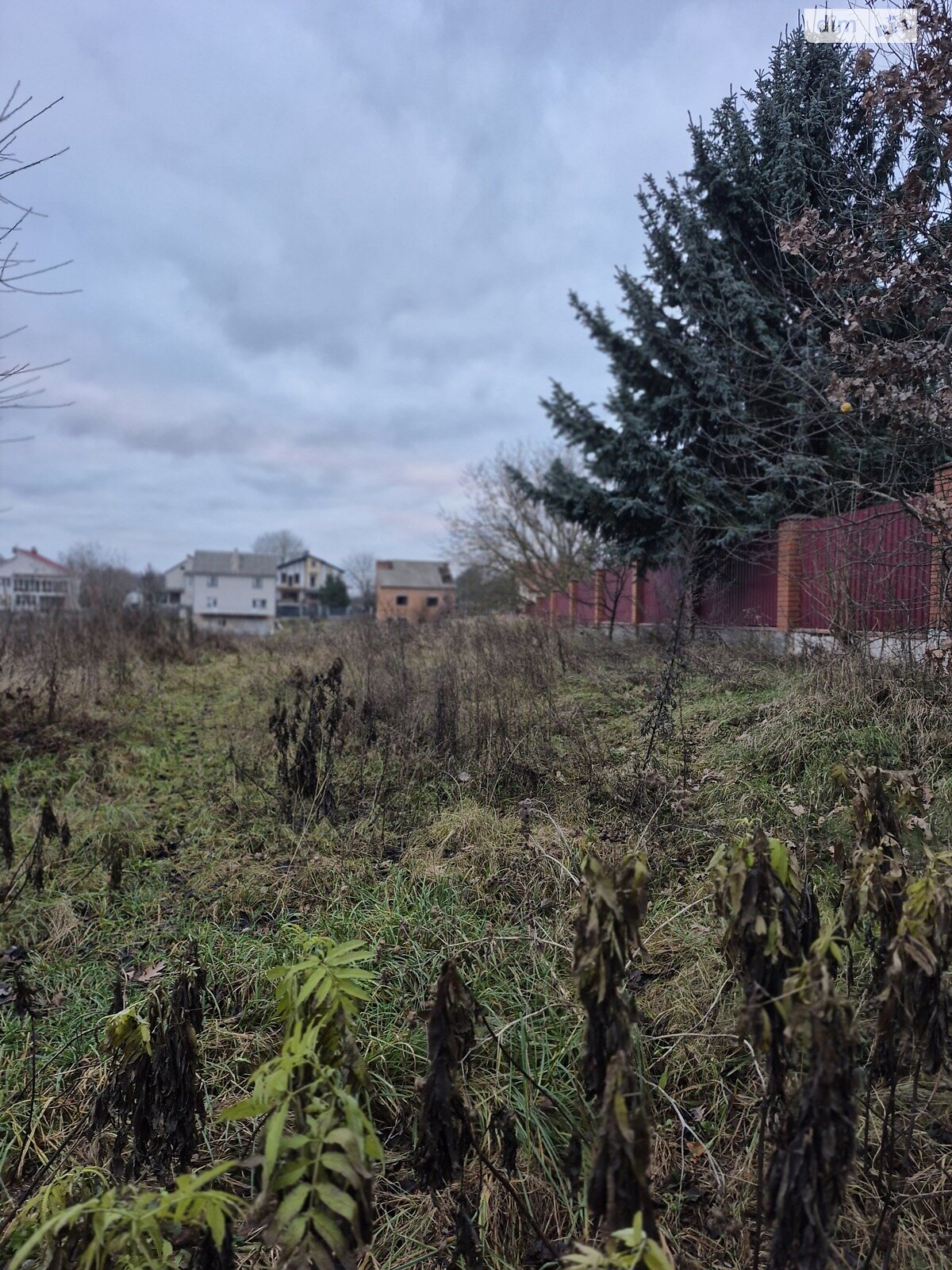 Земельный участок под жилую застройку в Луке-Мелешковской, площадь 20 соток фото 1
