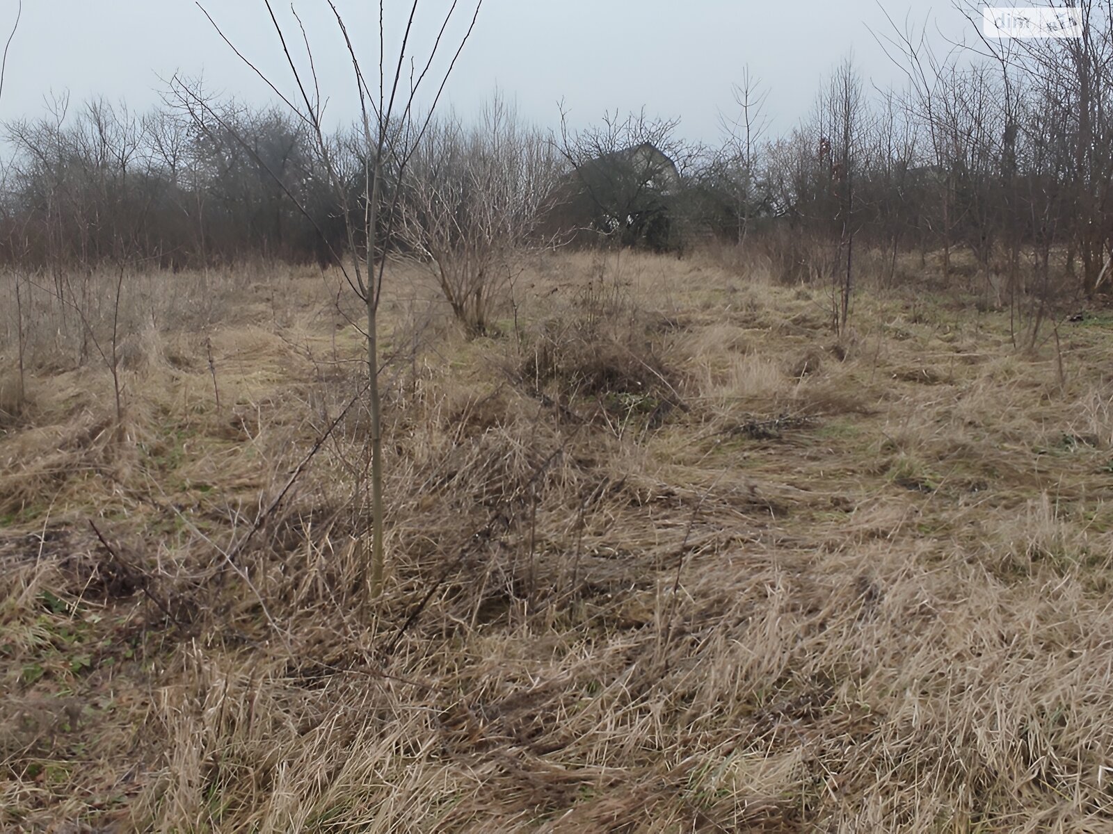 Земельна ділянка під житлову забудову в Луці-Мелешківській, площа 15 соток фото 1 Земельна ділянка під житлову забудову в Луці-Мелешківській, площа 15 соток фото 1