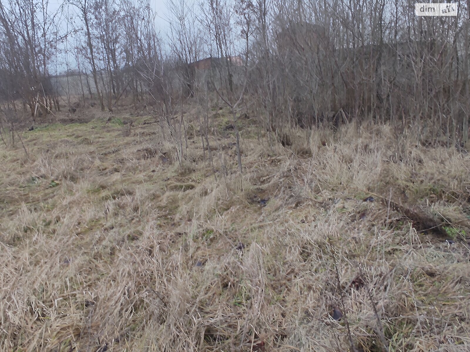 Земельна ділянка під житлову забудову в Луці-Мелешківській, площа 15 соток фото 1 Земельна ділянка під житлову забудову в Луці-Мелешківській, площа 15 соток фото 1