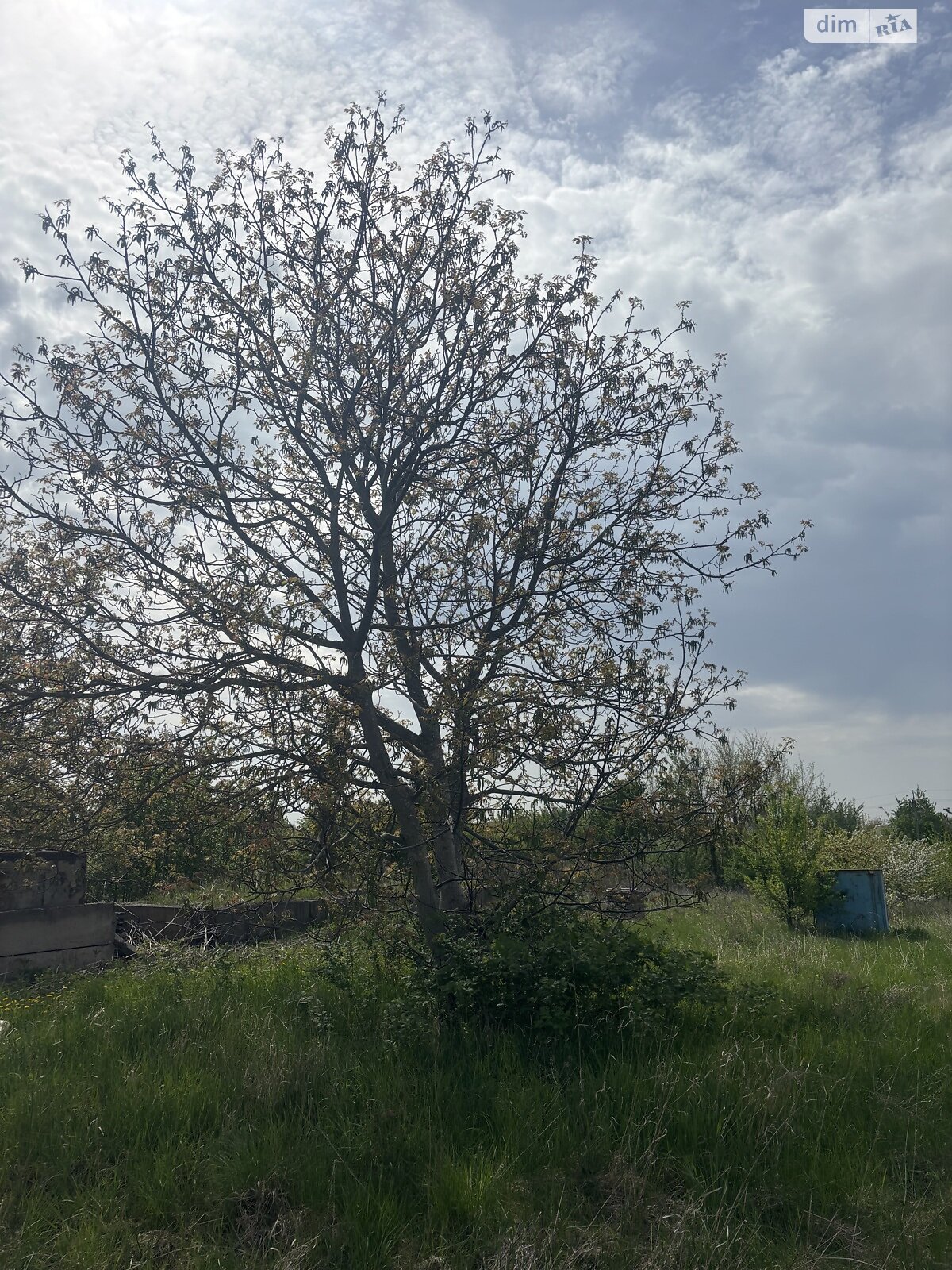 Земельна ділянка під житлову забудову в Луці-Мелешківській, площа 15 соток фото 1 Земельна ділянка під житлову забудову в Луці-Мелешківській, площа 15 соток фото 1