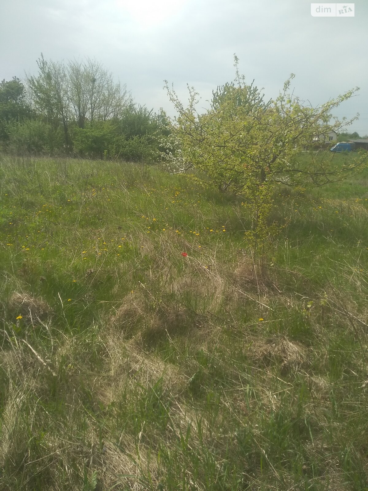 Земельна ділянка під житлову забудову в Луці-Мелешківській, площа 15 соток фото 1 Земельна ділянка під житлову забудову в Луці-Мелешківській, площа 15 соток фото 1