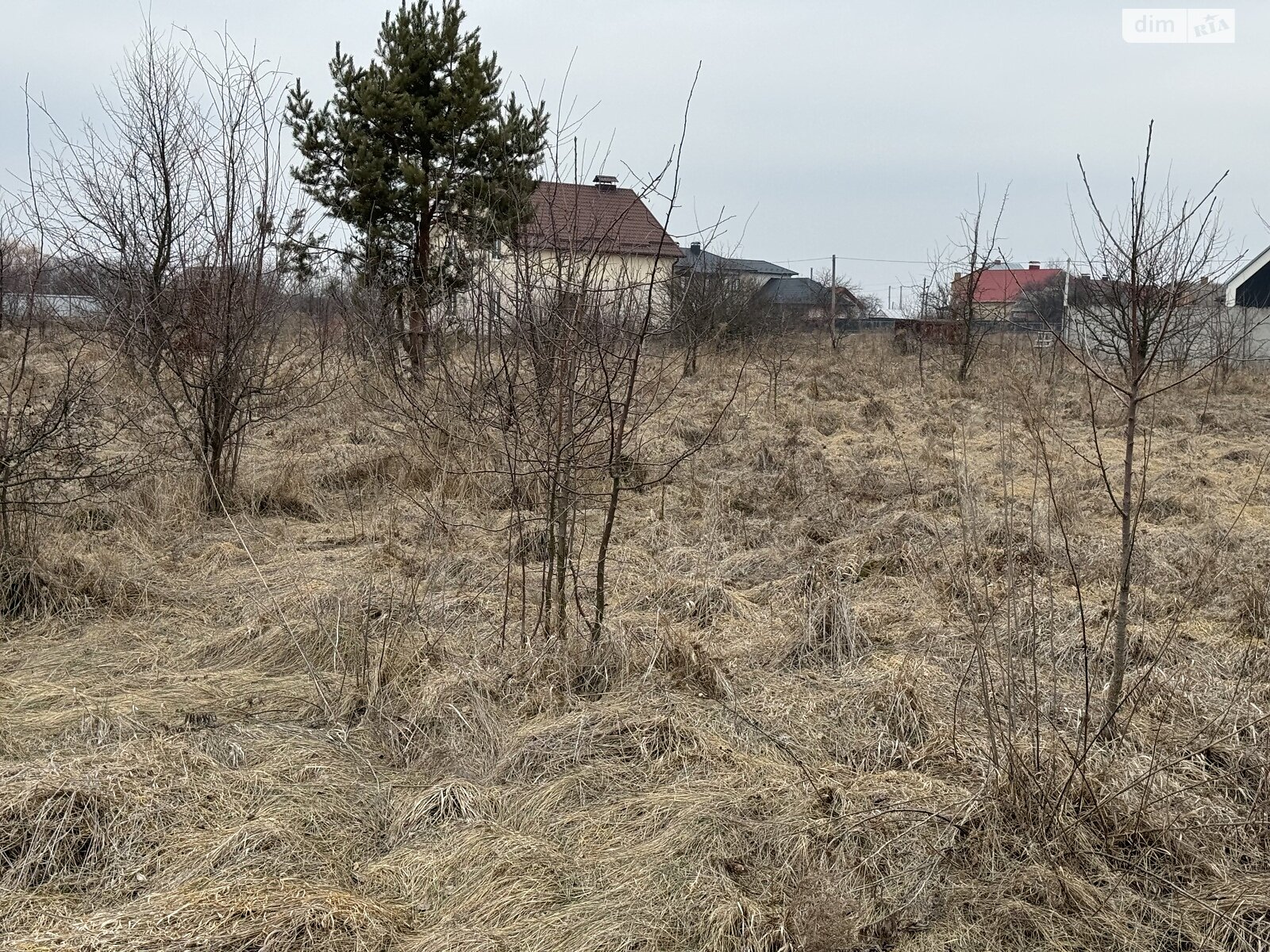 Земельный участок под жилую застройку в Луке-Мелешковской, площадь 15 соток фото 1