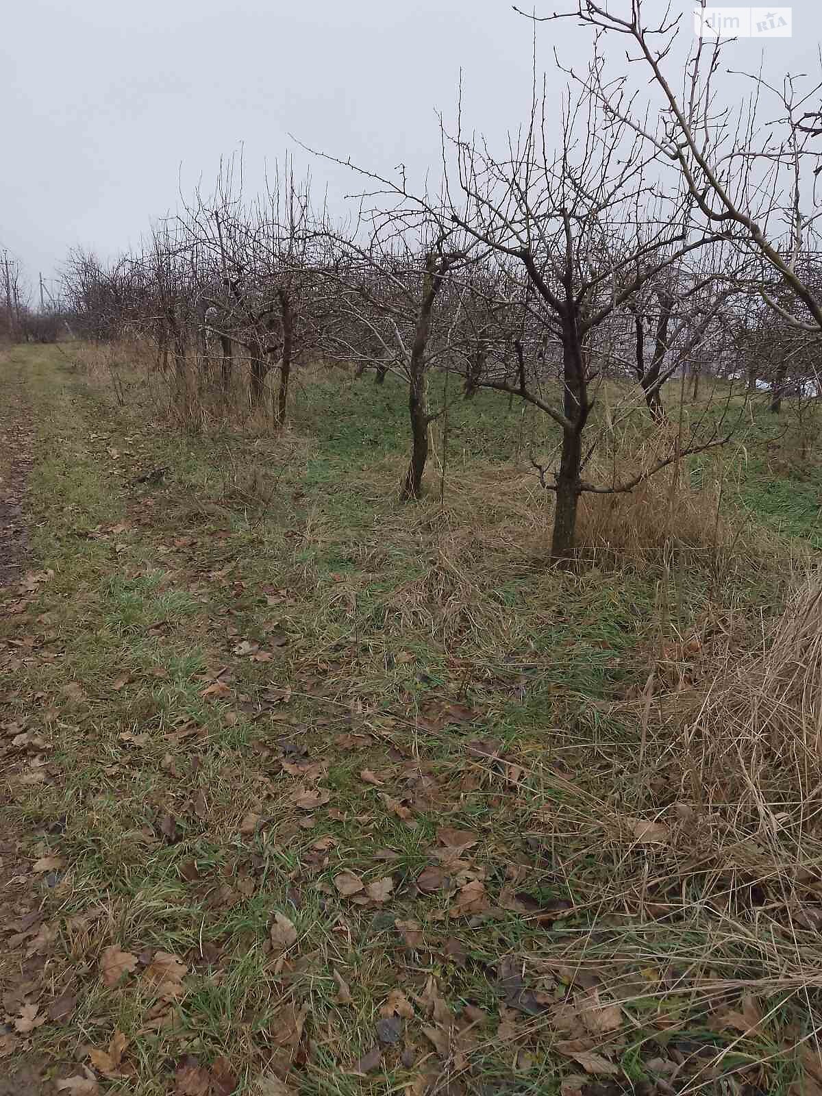 Земельный участок под жилую застройку в Луке-Мелешковской, площадь 10 соток фото 1 Земельный участок под жилую застройку в Луке-Мелешковской, площадь 10 соток фото 1