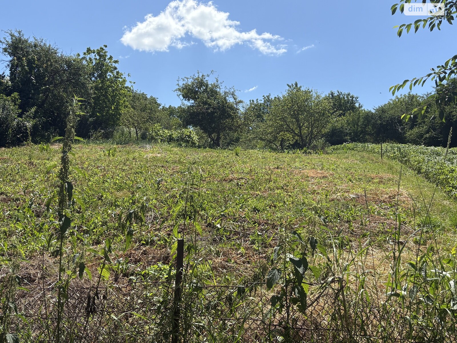 Земельный участок под жилую застройку в Луке-Мелешковской, площадь 24 сотки фото 1
